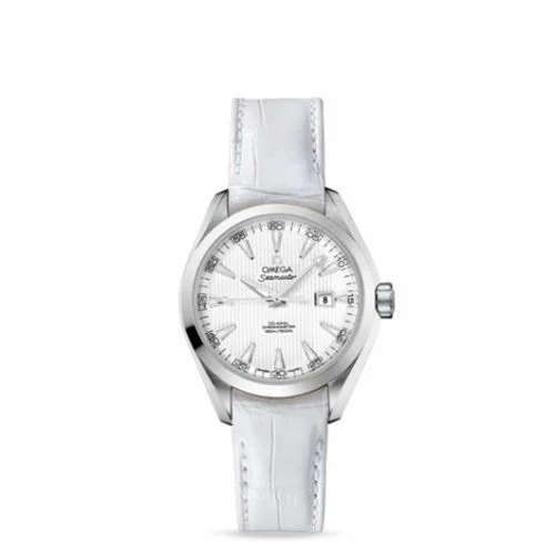 Omega Seamaster Aqua Terra 150M Co-Axial 34 Stainless Steel / Silver 231.13.34.20.04.001 (23113342004001)